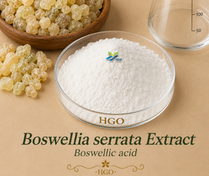 Approvisionnement direct de l'usine HGO en extrait naturel pur de Boswellia serrata (qualité alimentaire) acide boswellique 45%-95% (extrait standardisé) - Product Image 1