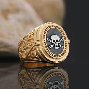 Anillo Masónico BOJ 015 Personalizado de Plata con Diamantes, Anillo de Graduación Universitaria Unisex, Regalo para Fiestas y Ocasiones Especiales, Precio Bajo - Product Image 5