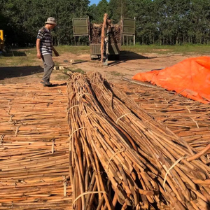 Bâtons de rotin naturel du Vietnam, 6 mm et 45 mm, pour meubles, tissage, artisanat et rotin écologique long de 5,5 m - Product Image 1