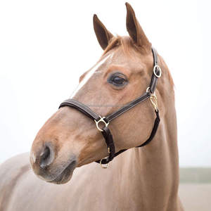 Y&Z Harnais pour chevaux en nylon de haute qualité, corde en cuir véritable, qualité supérieure, confortable, fournitures d'équitation pour l'entraînement, personnalisable - Product Image 2