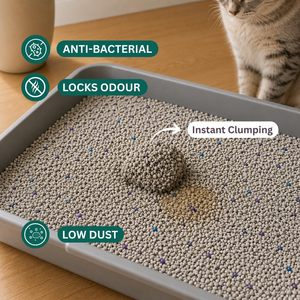 Litière pour chat OEM ODM personnalisée, premium, agglomérante, anti-odeur, absorption rapide, sans poussière, pour toilettes pour chats, marque privée, fourniture d'usine - Product Image 5
