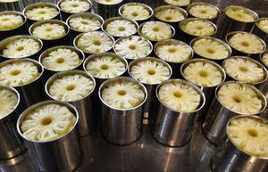VENTES FLASH ANANAS TRANCHEES EN CONSERVE // FRUITS TROPICAUX DE HAUTE QUALITÉ DU VIETNAM // Mme Selina - Product Image 6
