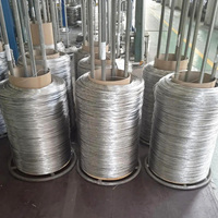 Hochwertige 304 316 Edelstahl-Drahtseile 7*7 1,2mm 1,5mm 1,8mm 2,0mm Edelstahl-Drahtkabel Lieferant