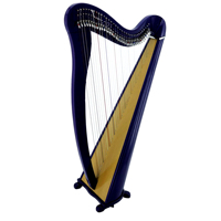 Best Quality Handmade Engraved Harp 30 Strings Black Curved Design RoseWood Materials Customized Color Custom Brand Model