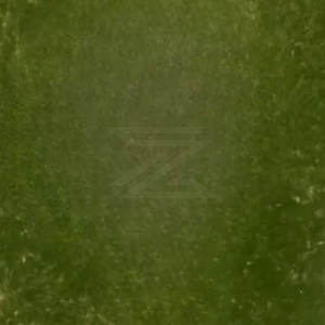 Camiseta Personalizada con Lavado Ácido, 100% Algodón, Estilo Vintage, Lavado Ácido Mineral, Cuello Redondo, Corte Holgado - Product Image 4