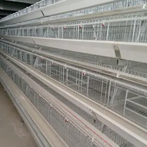 Tôle galvanisée à faible coût ferme de poulets automatique équipement de couche de type A équipement agricole cage à poulets