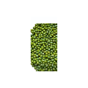 ถั่วเขียววินญ่า ราเดียตา (Vigna Radiata) แบบเม็ดเต็ม  ถั่วเขียวซาบุต แบบเม็ดเต็ม  เครื่องเทศแบบอินเดียดั้งเดิม - Product Image 1