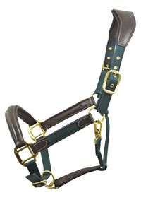 Indian Leather Comfort Horse Show Halter Head Collar Full BRASS Fitting - Product Image 4