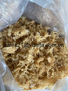 Super Grade Dried Sea Moss Seasoned Laver with Salt Unsalted Export Standard Packaged in Bag/ Ms. Lima - Product Image 2