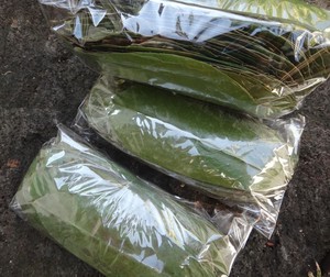 Hojas Secas de Graviola Natural para el Mercado de Superalimentos, Guanábana Deshidratada Premium, Venta al por Mayor Directo de Fábrica en Vietnam - Product Image 3