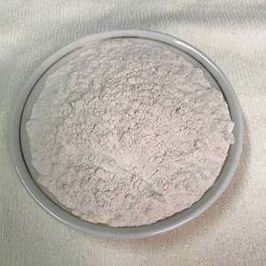 MEILLEUR PRIX Amidon de racine de lotus du Delta du Vietnam, superaliment écologique en poudre, 100% naturel, origine Dong Thap, durée de conservation de 12 mois - Product Image 6