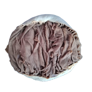 Omasum de Bœuf de Haute Qualité, Viande Comestible, Approvisionnement en Gros, Commerce de Gros, Grade Export - Product Image 5