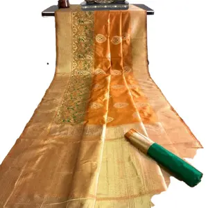 Elegantie Gouden Geborduurde Bloemen En Indische Handgeweven Bedrukt Puur Rijk Katoen En Zijde Stylist Indian Sari