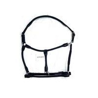 Accessoire élégant d'entraînement de cheval Style fantaisie Cheval brodé en cuir corde licou