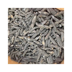 ¡GRAN OFERTA! Pepino de mar seco - Alta calidad y mejor precio de proveedor vietnamita 2022 - PRECIO COMPETITIVO - Product Image 2