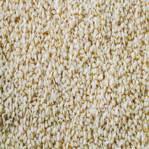 Graines de sésame indiennes fraîches et saisonnières pour les grossistes d'ingrédients alimentaires, les distributeurs internationaux, les acheteurs commerciaux - Product Image 1
