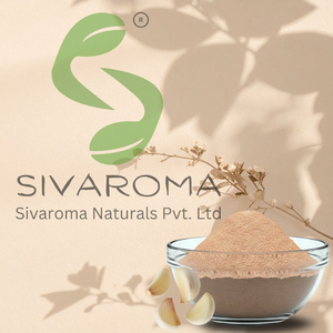 Extracto Seco de Ajo en Polvo para Suministro B2B en la Industria Alimentaria, Formulaciones Culinarias y Desarrollo de Productos Comerciales - Product Image 6