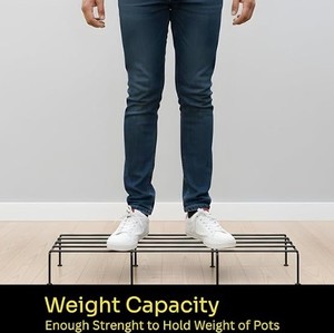 Plantas de Interior y Exterior Perfectas para Balcón, Jardín, Terraza y Decoración del Hogar - Product Image 5