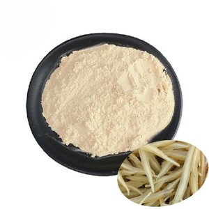Polvo de Shatavari Premium, Venta Caliente, Polvo de Shatavari 100% Natural, Proveedor a Granel de la India para Uso como Suplemento Dietético - Product Image 1