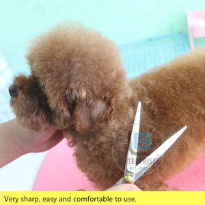 กรรไกรตัดขนสัตว์เลี้ยงแบบตรง สแตนเลสอย่างดี คุณภาพสูง พร้อมส่ง - Product Image 6