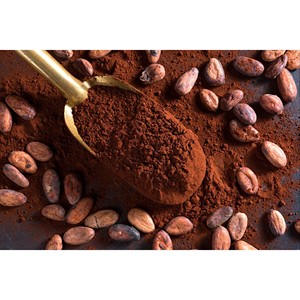 Cacao en Polvo Orgánico de Grado Alimenticio, Puro, Alcalinizado y Sin Alcalinizar, en Envase de Tambor, para Repostería y Elaboración de Chocolate - Product Image 1