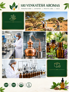 Aceite Esencial de Incienso para Perfumería, Cosméticos, Fabricación de Jabón, Aromaterapia y Formulaciones de Cuidado Personal, Proveedor al por Mayor - Product Image 6