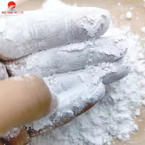 Carbonate de calcium rentable pour la fabrication de peinture en Inde pour les applications de revêtement et de peinture - Product Image 1