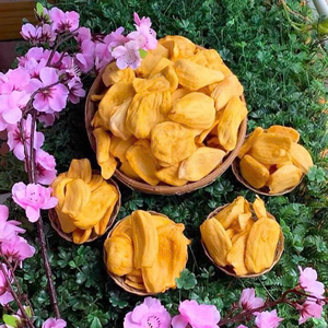 ผู้ผลิตขนมผลไม้เขตร้อน ได้รับการรับรองมาตรฐาน HACCP และ ISO จากเวียดนาม ผลิตภัณฑ์ OEM ชิปส์ขนุนทอดสุญญากาศ - Product Image 6