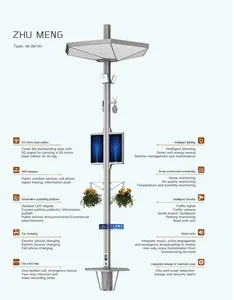 IoT 제어 플랫폼을위한 맞춤형 장착 장치가있는 Weclouds 스마트 가로등 기둥