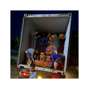 ไม้ไผ่สดจากเวียดนาม ขายดี สำหรับงานฝีมือ งานตกแต่ง ทำรั้ว และผู้ซื้อขายส่ง - Product Image 1