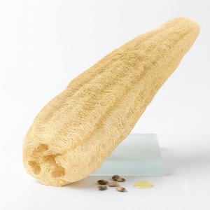 Éponge à vaisselle naturelle entière séchée de qualité supérieure, non abrasive, pour nettoyer les casseroles - Product Image 3