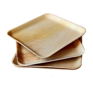 Ensemble d'assiettes jetables biodégradables et compostables en feuilles de palmier carrées pour la vente à emporter et l'usage occasionnel - Product Image 6
