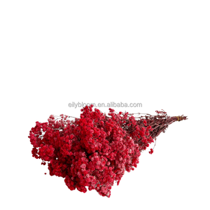 Flor decorativa de Gypsophila de larga duración para bebés, flores de Gypsophila <span class=keywords><strong>eterna</strong></span> preservada, respiración al por mayor - Product Image 6
