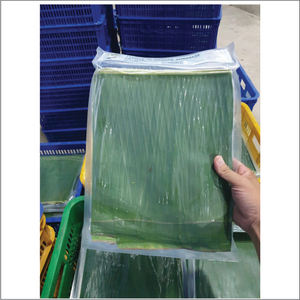 ใบตองสดคุณภาพสูงจากเวียดนาม ผลิตภัณฑ์เกษตรระดับพรีเมียมจากแม่น้ำเมกงเดลต้า - Product Image 3