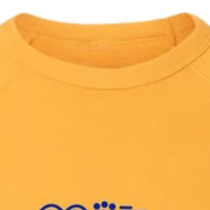 Sudadera con gráfico retro de Sigma Gamma Rho para mujer, estilo vintage de los años 80, cuello redondo, manga larga, ropa personalizada de hermandad - Product Image 3