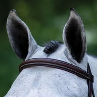 Bridon en cuir noir de qualité supérieure, équipement d'équitation confortable, imperméable, design personnalisé avec rubans, prix de gros