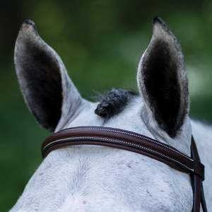 <b>Top</b> Quality Black <b>Leather</b> Bridle Comfortable Riding Gear Waterproof Personalized Design with Ribbons Wholesale Price - Product Image 2