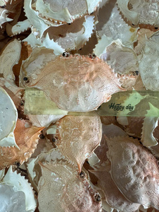 Cleaned Polished Dried <b>Crab</b> <b>Shell</b> Smooth Inner Surface No Meat Residue Low Odor from Vietnam - Product Image 3