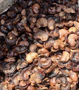 Aceite Crudo de Cáscara de Anacardo (CNSL) de Vietnam |   Aceite Natural de Cáscara de Anacardo Silvestre |   Flexibags de Grado Industrial al por Mayor | - Product Image 5