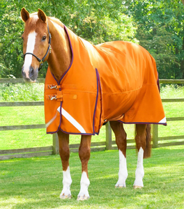 Manta de Exterior Personalizada para Caballos, Diseño Personalizado, Duradera, Impermeable, Transpirable, para Establos - Product Image 5