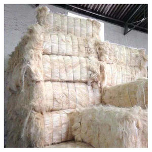 Fibre de sisal naturelle et durable pour la production de cordes, ficelles et tapis - Product Image 3