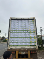 Vietnam Verse Cavendish Bananen Zorgvuldig Geselecteerd Voor Export Zoet En Voedzaam Ideaal Voor De Detailhandel En Foodservice