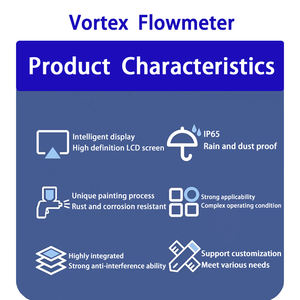 OEM & ODM 공장 가격 산업용 가스 및 공기 스팀 유량계 정밀 소용돌이 플랜지 연결 물 오일 측정 LCD 디스플레이 - Product Image 6