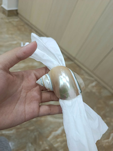 Exclusive Seashell Napkin Ring Handcrafted Conch Shell <b>Table</b> Accessory for Elegant Hotels Restaurants Weddings and Events - Product Image 2