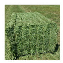 Vente en gros de foin d'alfalfa de haute qualité en sacs, prix de gros pour l'alimentation du bétail, marque CASTRO, durée de conservation de 18 mois - Product Image 6