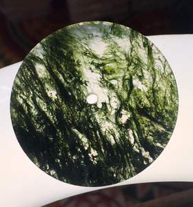 Esfera de Reloj de Ágata Musgosa Natural con Inclusiones Dendríticas de 31.50mm, Accesorios Sueltos para Relojes, Gema - Product Image 5