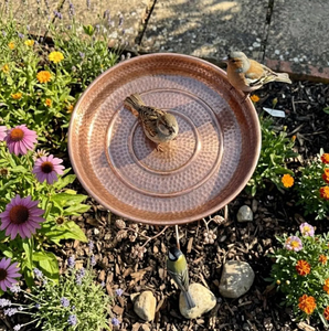 Meilleur Bain d'oiseaux élégant et respectueux des oiseaux pour jardin, en métal, bol en cuivre avec support en fer, couleur noire, fait main - Product Image 3