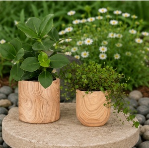 Macetas para Plantas de Interior con Textura de Madera Natural, Minimalistas y Decorativas, para Suculentas y Decoración del Hogar y la Oficina - Product Image 6