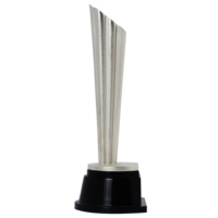 Trophée en résine écologique Stock AFCc Elite League Champions, personnalisé, cadeaux de bienvenue pour les supporters de football saoudiens, souvenir, nouveauté