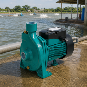 Pompe à eau électrique monophasée Snow Flake TGA1B 0,5 CV avec raccord à bride de sortie 1 pouce pour irrigation agricole, corps en fonte - Product Image 4